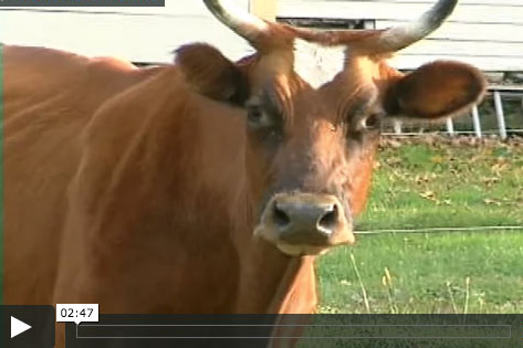 Food for Change: A Documentary Film about Co-ops